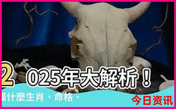 澳门四肖八码凤凰网直播